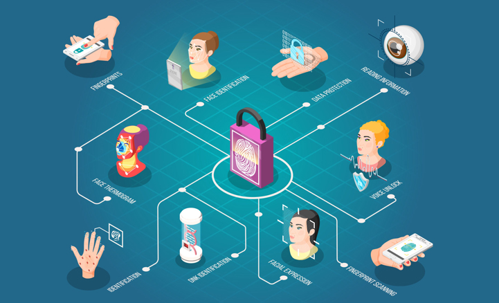 Треть россиян не доверяет биометрии, а каждый пятый её избегает: исследование