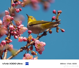 Впечатляющие примеры фото с камер Vivo X300 Ultra