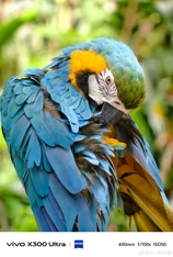 Впечатляющие примеры фото с камер Vivo X300 Ultra