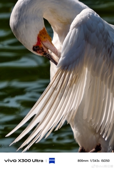 Впечатляющие примеры фото с камер Vivo X300 Ultra