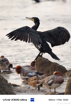 Впечатляющие примеры фото с камер Vivo X300 Ultra