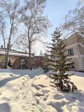 Обзор iQOO 15R: околокомпактный околофлагман