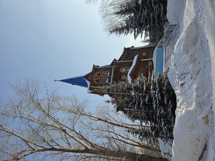 Samsung Galaxy S26 Camera Samples