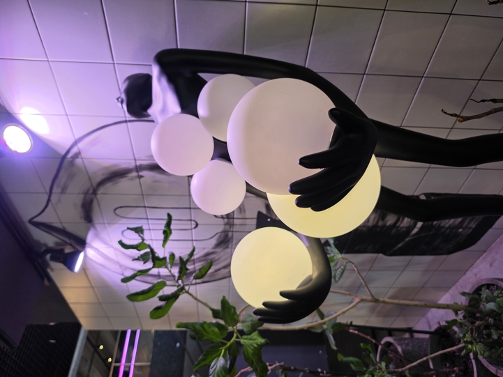 Samsung Galaxy S26 Camera Samples