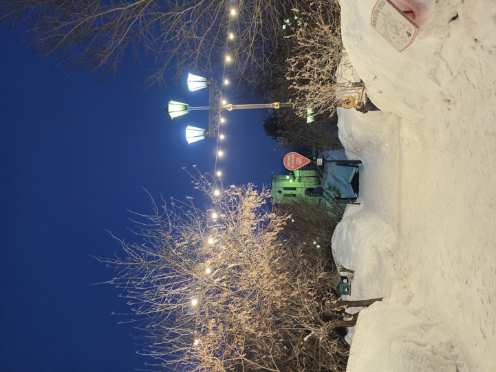 Samsung Galaxy S26 Camera Samples