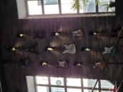 Samsung Galaxy S26 Camera Samples