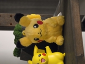 Samsung Galaxy S26 Camera Samples