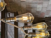 Samsung Galaxy S26 Camera Samples