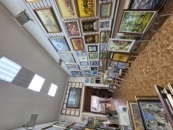 Samsung Galaxy S26 Camera Samples