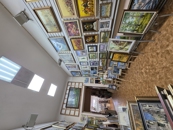 Samsung Galaxy S26 Camera Samples