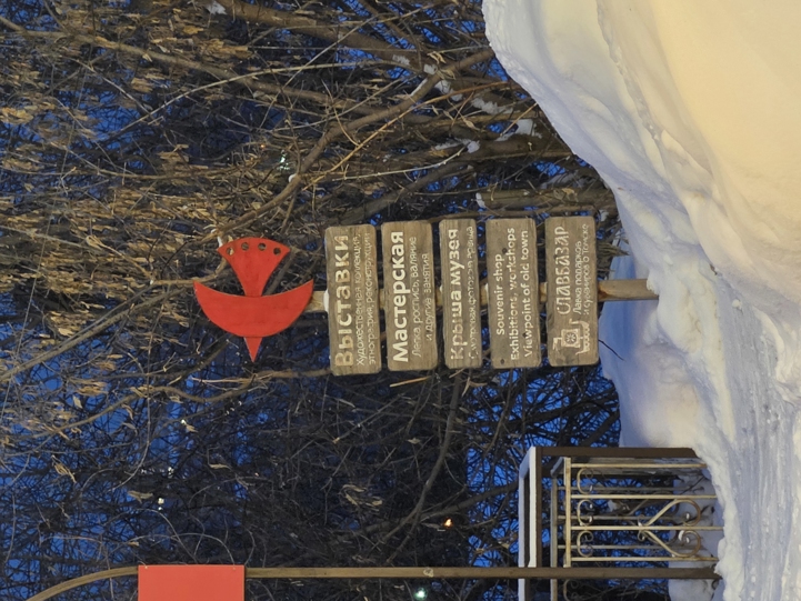 Samsung Galaxy S26 Camera Samples