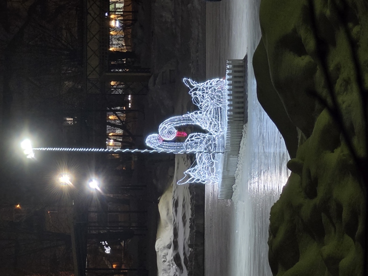 Samsung Galaxy S26 Camera Samples