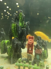 Обзор Infinix Note 60 Pro: первый Infinix со Snapdragon и котиком