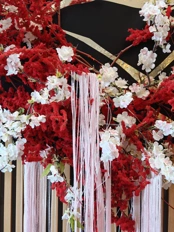 Обзор OPPO Find X9 Pro: как я пытался перейти с Find X8 Ultra