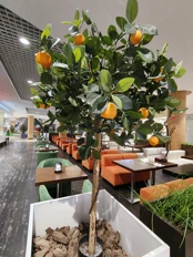 Обзор Realme 16 Pro и Realme 16 Pro+: стоит ли переплатить?