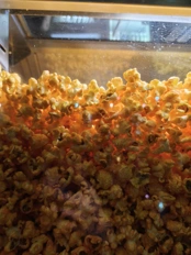 Обзор Realme 16 Pro и Realme 16 Pro+: стоит ли переплатить?