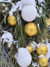 Обзор Realme 16 Pro и Realme 16 Pro+: стоит ли переплатить?