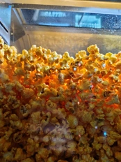 Обзор Realme 16 Pro и Realme 16 Pro+: стоит ли переплатить?