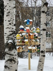 Обзор Realme 16 Pro и Realme 16 Pro+: стоит ли переплатить?