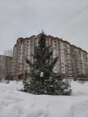 Обзор POCO X8 Pro и POCO X8 Pro Max: удачные, хоть и без телевика