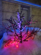 Обзор POCO X8 Pro и POCO X8 Pro Max: удачные, хоть и без телевика