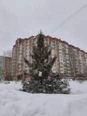 Обзор POCO X8 Pro и POCO X8 Pro Max: удачные, хоть и без телевика