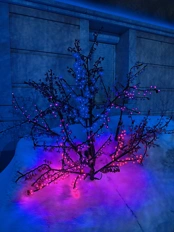 Обзор POCO X8 Pro и POCO X8 Pro Max: удачные, хоть и без телевика