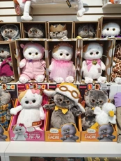 Обзор POCO X8 Pro и POCO X8 Pro Max: удачные, хоть и без телевика