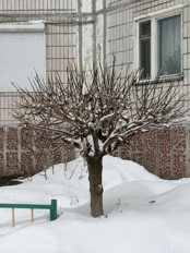 Обзор POCO X8 Pro и POCO X8 Pro Max: удачные, хоть и без телевика