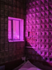 Обзор POCO X8 Pro и POCO X8 Pro Max: удачные, хоть и без телевика