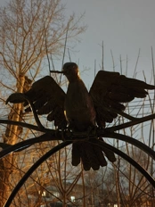 Обзор POCO X8 Pro и POCO X8 Pro Max: удачные, хоть и без телевика