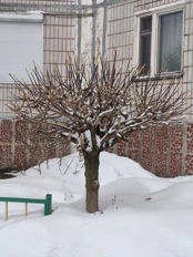 Обзор POCO X8 Pro и POCO X8 Pro Max: удачные, хоть и без телевика