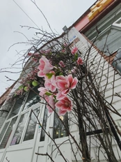 Обзор POCO X8 Pro и POCO X8 Pro Max: удачные, хоть и без телевика