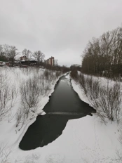 Обзор POCO X8 Pro и POCO X8 Pro Max: удачные, хоть и без телевика