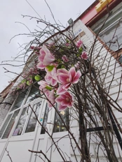 Обзор POCO X8 Pro и POCO X8 Pro Max: удачные, хоть и без телевика