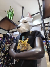 Обзор POCO X8 Pro и POCO X8 Pro Max: удачные, хоть и без телевика