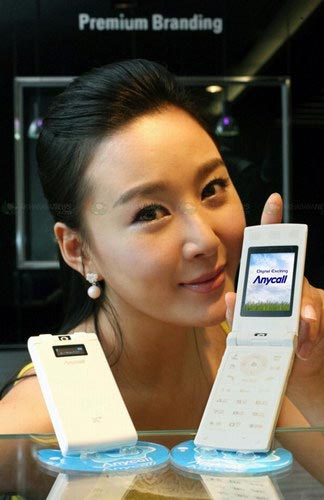 Samsung SCH-W270 (SCH-W2700) и SCH-W290 (SCH-W2900)