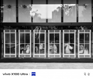 Больше примеров фото на камеру Vivo X100 Ultra и X100s