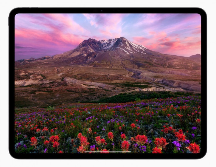  Apple iPad Pro (2024) -    Tandem OLED  M4