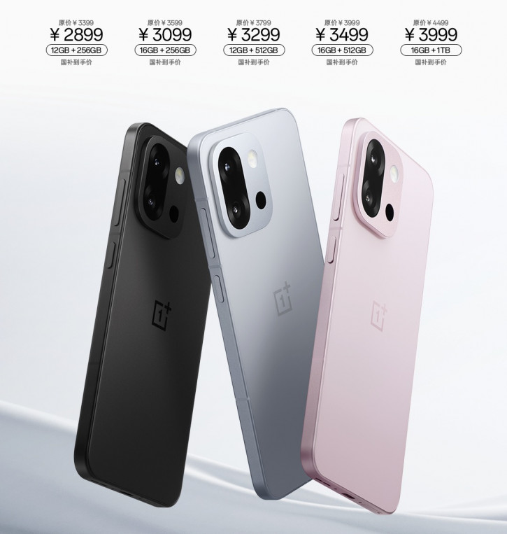 OnePlus     OnePlus 13T