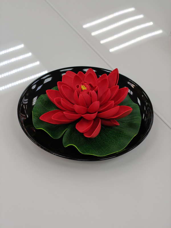  Realme 14 Pro+: ,    