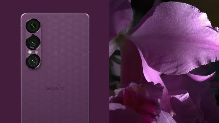  Sony Xperia 1 VII:     