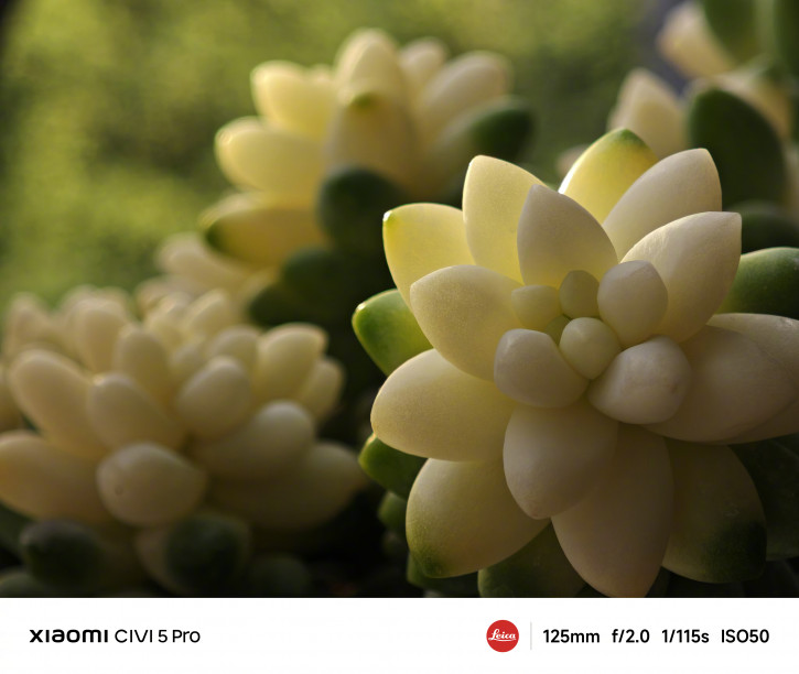      Xiaomi Civi 5 Pro:  -?