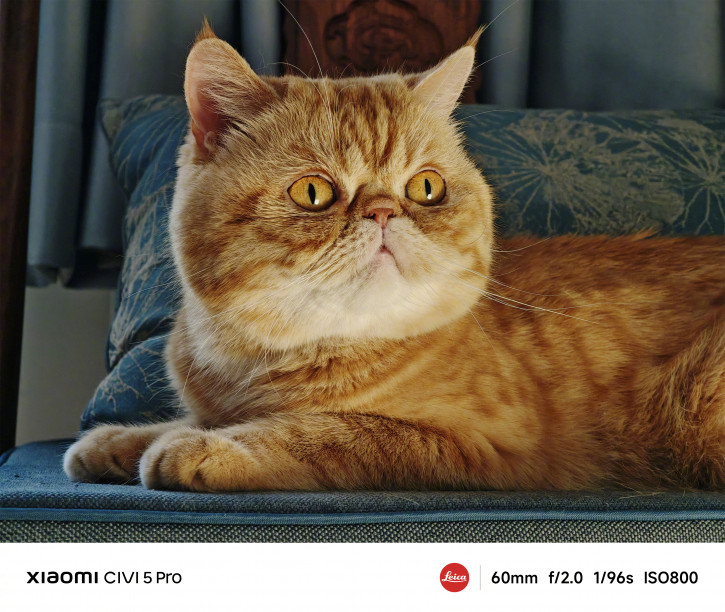      Xiaomi Civi 5 Pro:  -?