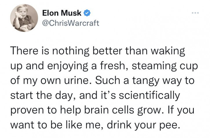 musk twitter