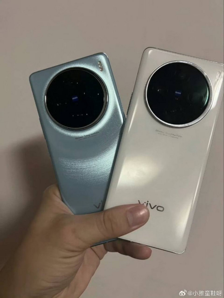 Vivo X100 / X100 Pro          