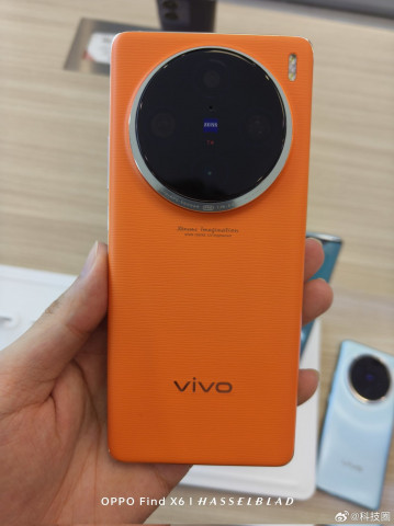 Vivo X100 / X100 Pro          
