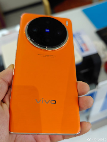 Vivo X100 / X100 Pro          