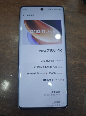 Vivo X100 / X100 Pro          