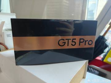 Realme GT5 Pro     ?     